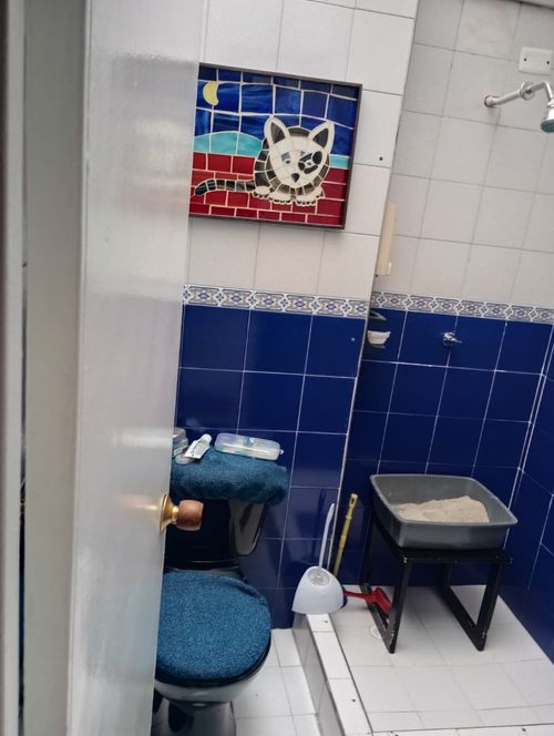 Casa de 4 alcobas en venta en Cooperativa De Sub-Oficiales, Bogotá, 144 m² · foto 2 de 14
