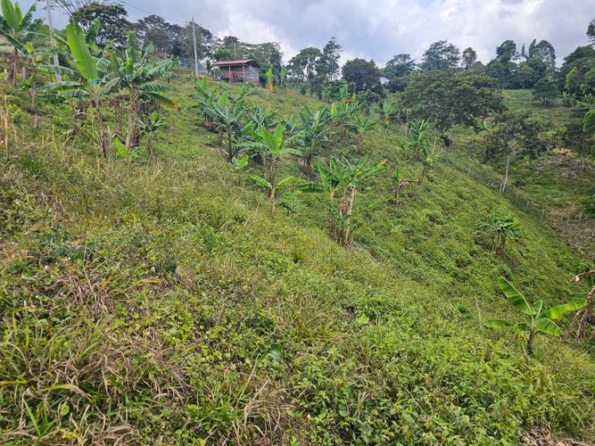 Lote en venta en Tribunas Corcega, Pereira, 10000 m² · foto 2 de 5