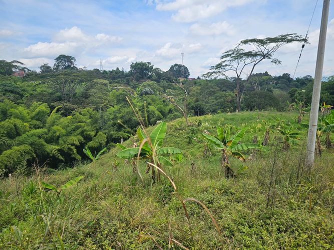 Lote en venta en Tribunas Corcega, Pereira, 10000 m² · foto 3 de 5