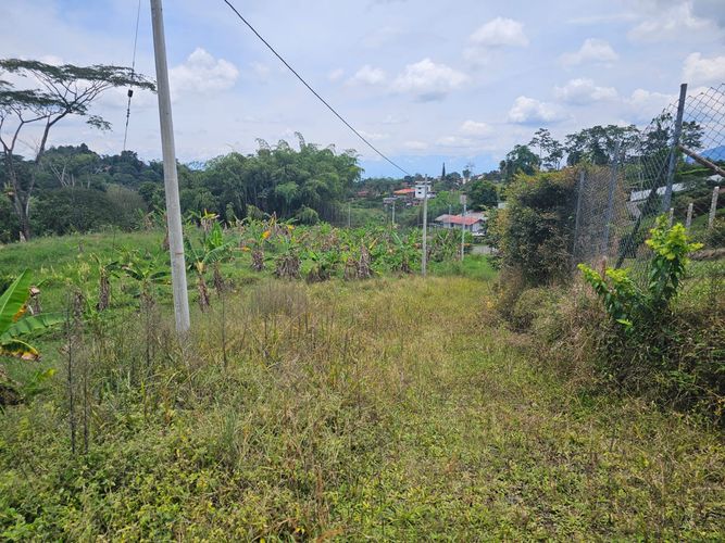 Lote en venta en Tribunas Corcega, Pereira, 10000 m² · foto 4 de 5
