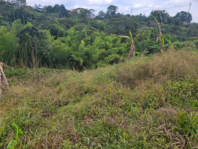 Lote en venta en Tribunas Corcega, Pereira, 10000 m² · foto 5 de 5