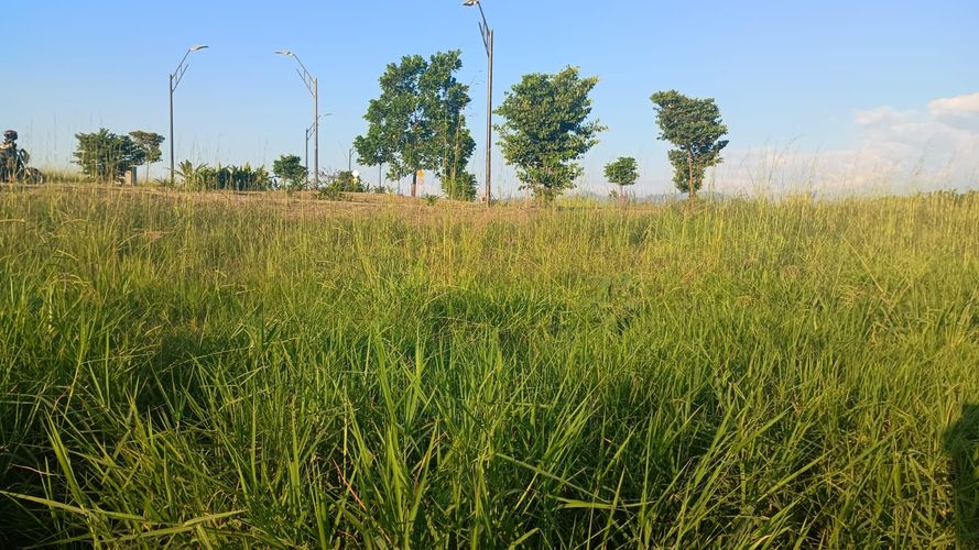 Lote en venta en Cerritos, Pereira, 2474 m² · foto 4 de 9