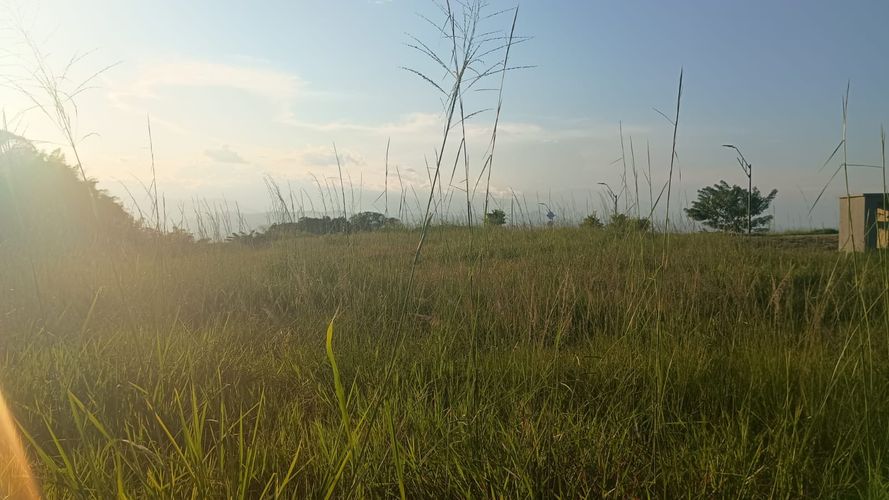 Lote en venta en Cerritos, Pereira, 2474 m² · foto 5 de 9