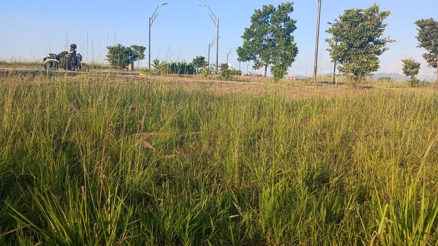 Lote en venta en Cerritos, Pereira, 2474 m² · foto 7 de 9