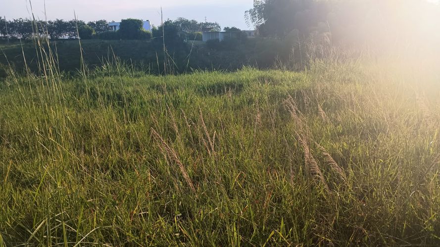Lote en venta en Cerritos, Pereira, 2474 m² · foto 8 de 9
