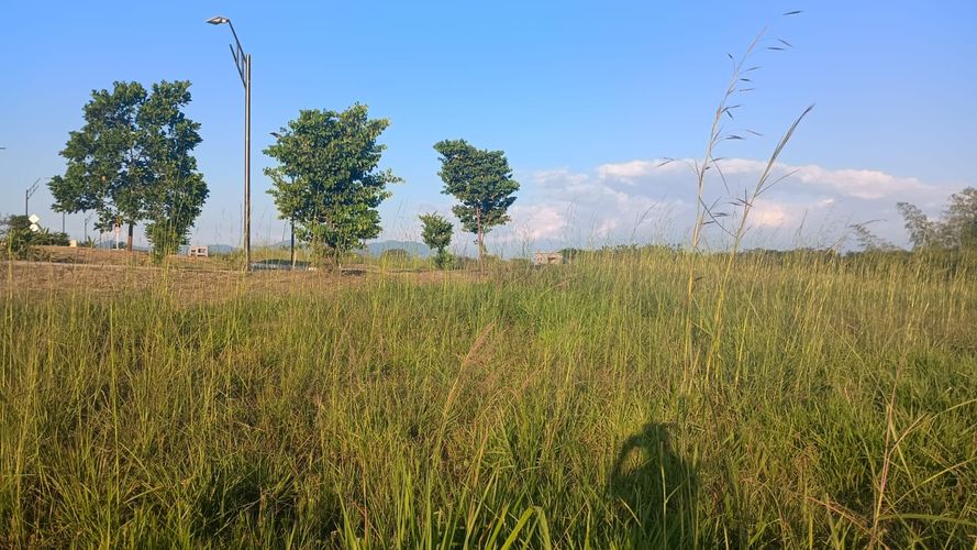 Lote en venta en Cerritos, Pereira, 2474 m² · foto 9 de 9