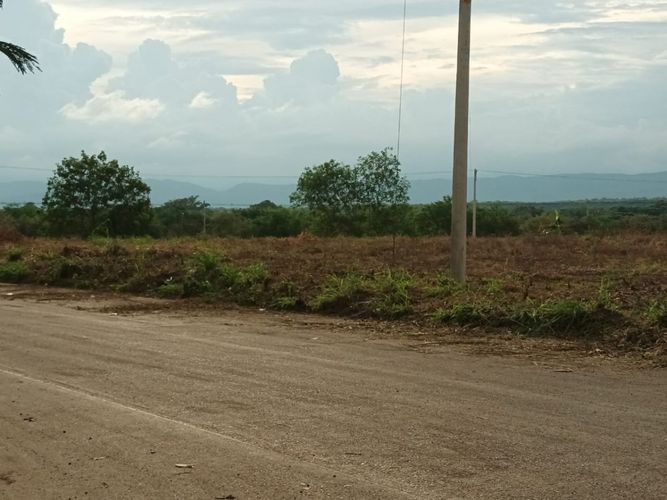 Lote en venta en Neiva, 5000 m² · foto 2 de 2