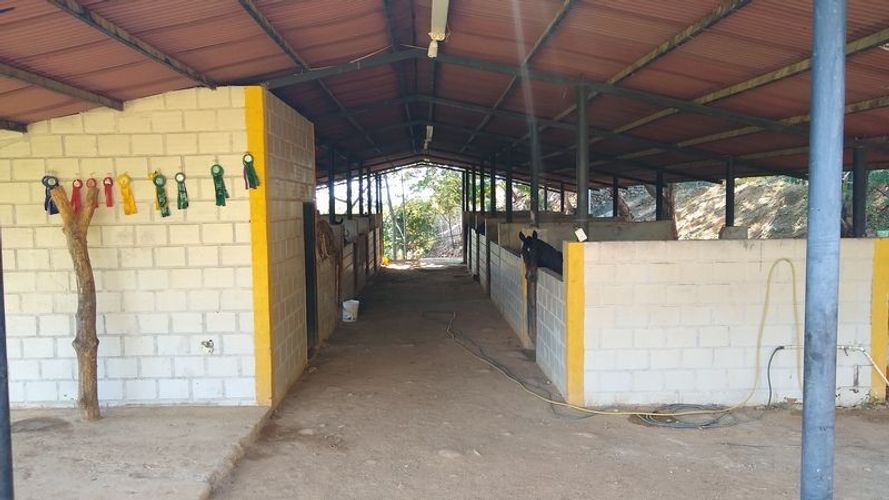 Lote en venta en El Centro Sur, Neiva, 955 m² · foto 18 de 24