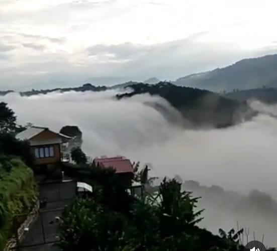Finca en venta en Alto Del Naranjo, Manizales, 30000 m² · foto 5 de 23