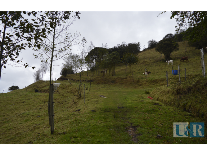Lote en venta en Santa Helena, La Calera · foto 3 de 11