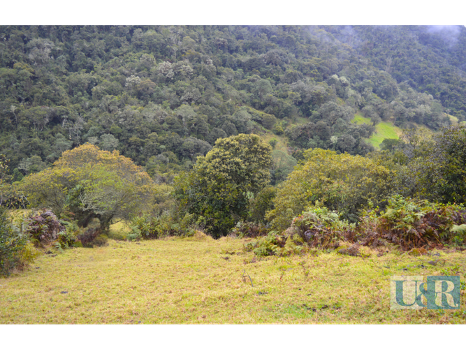 Lote en venta en Santa Helena, La Calera · foto 5 de 11