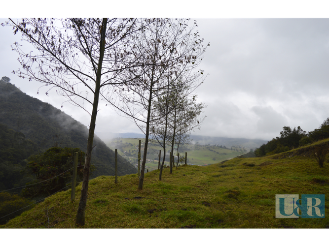 Lote en venta en Santa Helena, La Calera · foto 7 de 11