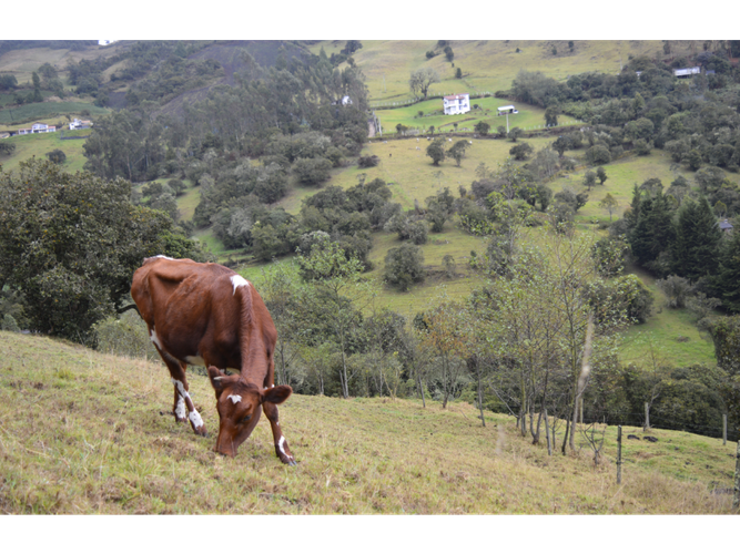Lote en venta en Santa Helena, La Calera · foto 8 de 11