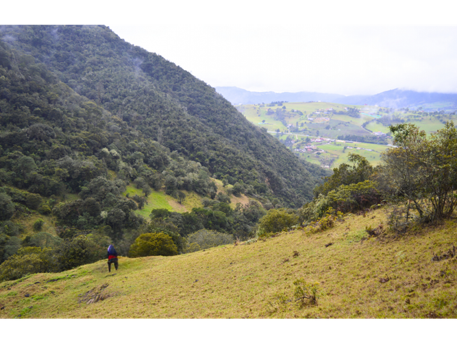 Lote en venta en Santa Helena, La Calera · foto 10 de 11