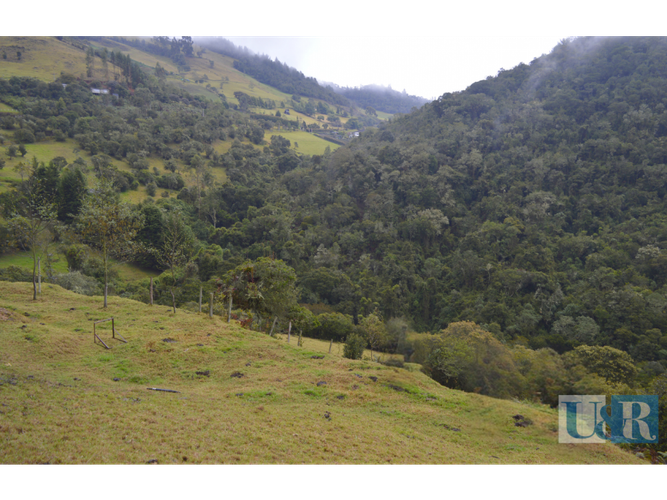Lote en venta en Santa Helena, La Calera · foto 11 de 11