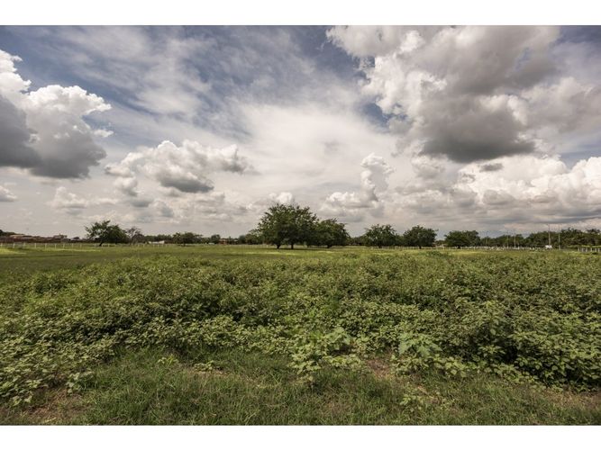 Lote en venta en Alfonso Lopez, Palmira, 43392 m² · foto 4 de 11