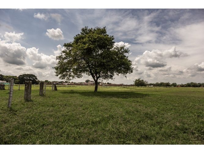 Lote en venta en Alfonso Lopez, Palmira, 43392 m² · foto 6 de 11