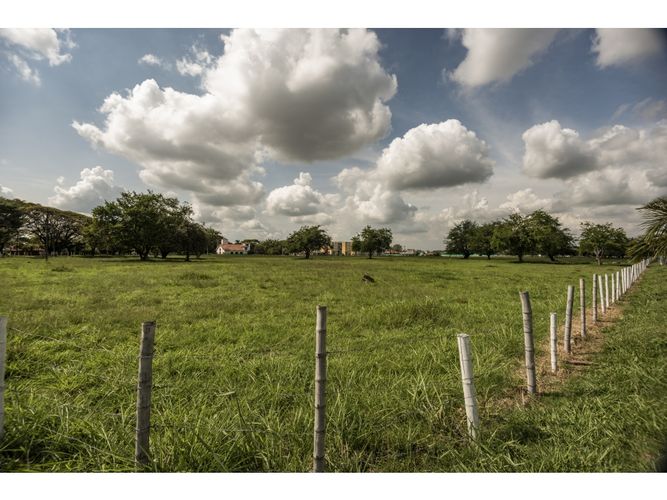 Lote en venta en Alfonso Lopez, Palmira, 43392 m² · foto 9 de 11