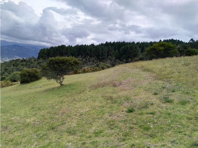 Lote en venta en Aposentos Parte Alta, Sopó, 2697 m² · foto 5 de 13