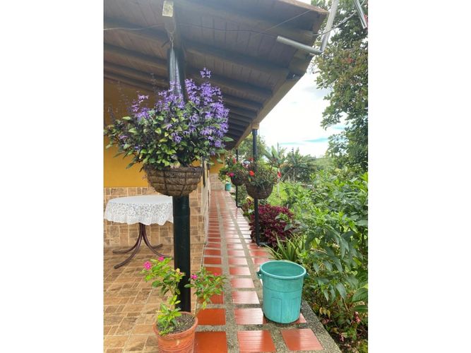 Finca en venta en La Candelaria, Marinilla, 120 m² · foto 4 de 14