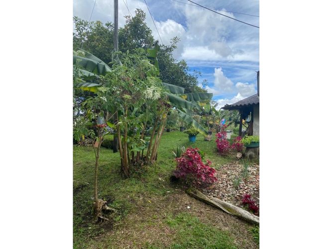 Finca en venta en La Candelaria, Marinilla, 120 m² · foto 9 de 14