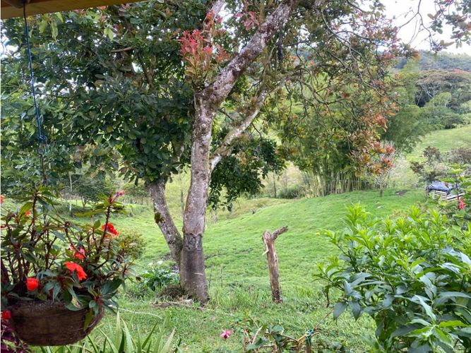 Finca en venta en La Candelaria, Marinilla, 120 m² · foto 14 de 14