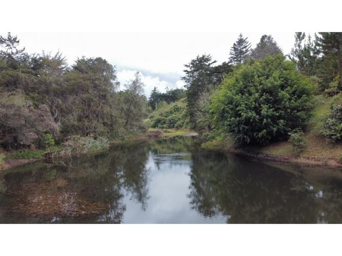 Lote en venta en El Carmen De Viboral, El Carmen de Viboral, 3750 m² · foto 4 de 24