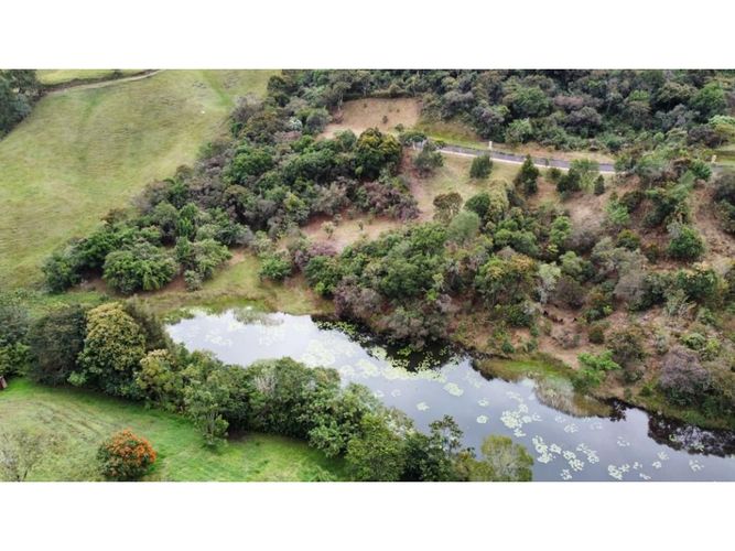 Lote en venta en El Carmen De Viboral, El Carmen de Viboral, 3750 m² · foto 18 de 24