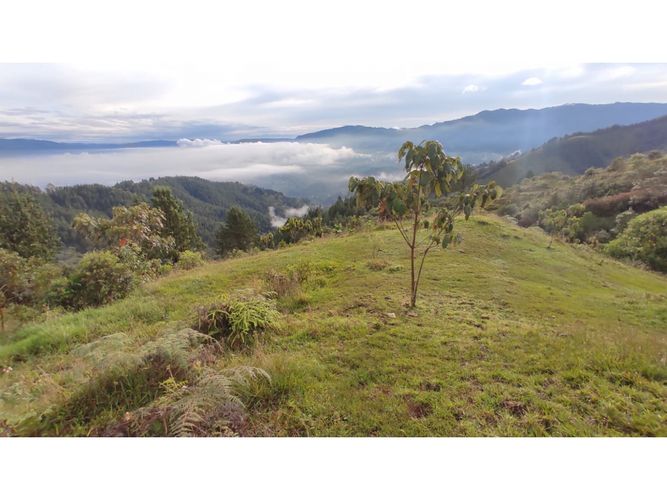 Lote en venta en La Catedral, Envigado, 20062 m² · foto 11 de 14