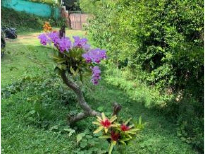 Finca en venta en El Noral, Copacabana, 2500 m² · foto 3 de 18
