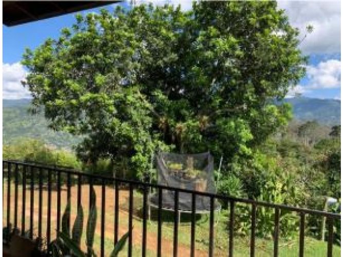 Finca en venta en El Noral, Copacabana, 2500 m² · foto 9 de 18