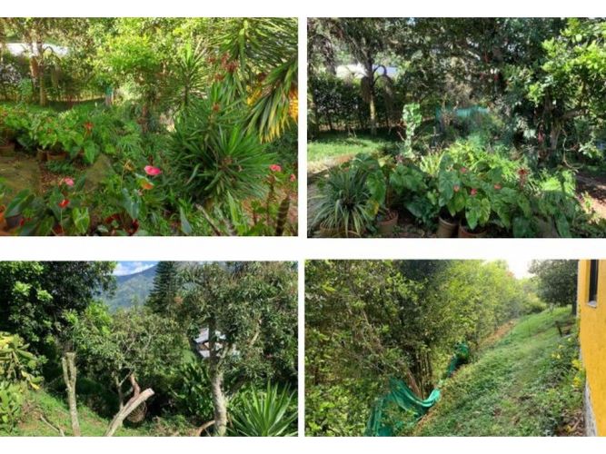 Finca en venta en El Noral, Copacabana, 2500 m² · foto 10 de 18