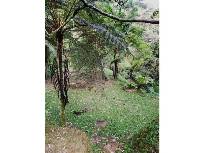 Finca en venta en Caqueta, Medellín, 5700 m² · foto 24 de 24