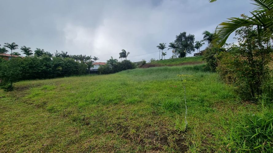 Lote en venta en Condina, Pereira, 2000 m² · foto 4 de 14