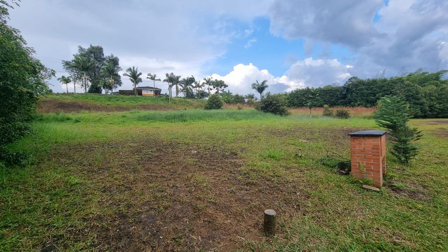 Lote en venta en Condina, Pereira, 2000 m² · foto 5 de 14