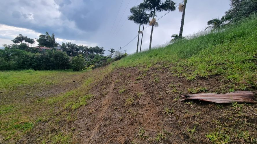 Lote en venta en Condina, Pereira, 2000 m² · foto 8 de 14