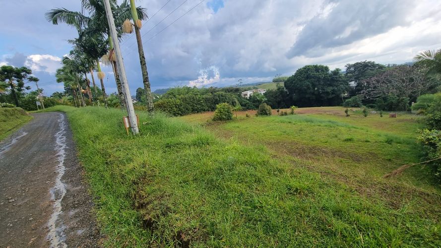 Lote en venta en Condina, Pereira, 2000 m² · foto 14 de 14