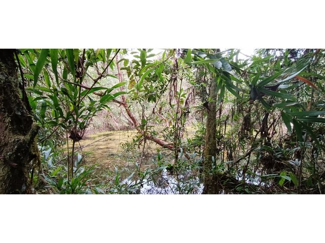 Finca en venta en Subia Central, Soacha · foto 16 de 24
