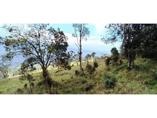 Finca en venta en Subia Central, Soacha · foto 18 de 24