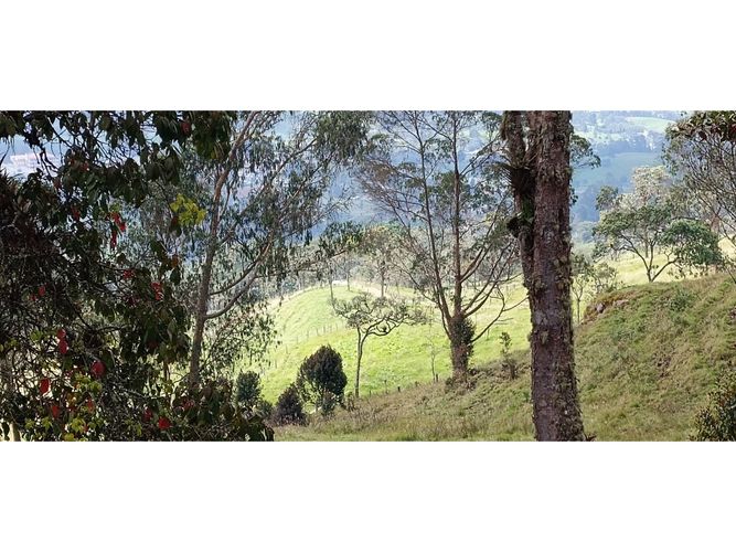 Finca en venta en Subia Central, Soacha · foto 22 de 24
