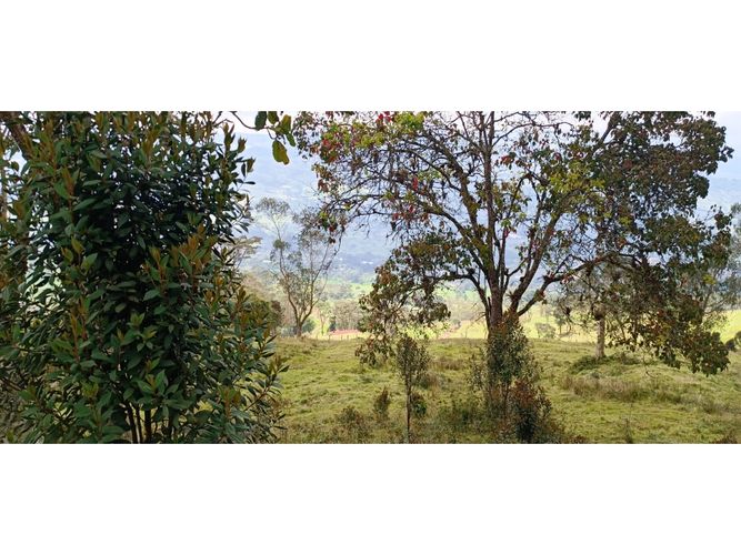 Finca en venta en Subia Central, Soacha · foto 23 de 24