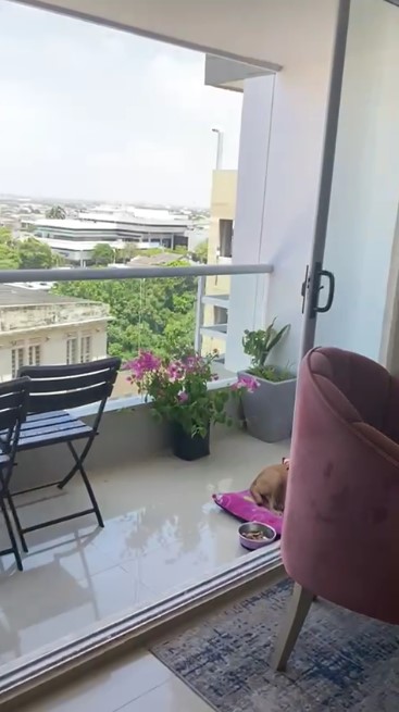 Apartamento en venta en Boston, Barranquilla · foto 2 de 17