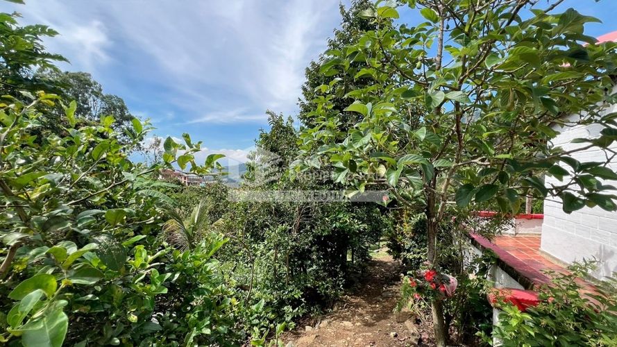 Finca en venta en Quitasol, Bello, 200 m² · foto 5 de 24