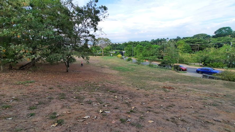 Lote en venta en La Buitrera, Cali, 4200 m² · foto 3 de 8