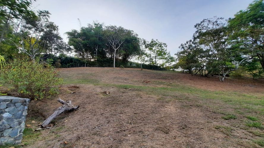 Lote en venta en La Buitrera, Cali, 4200 m² · foto 5 de 8