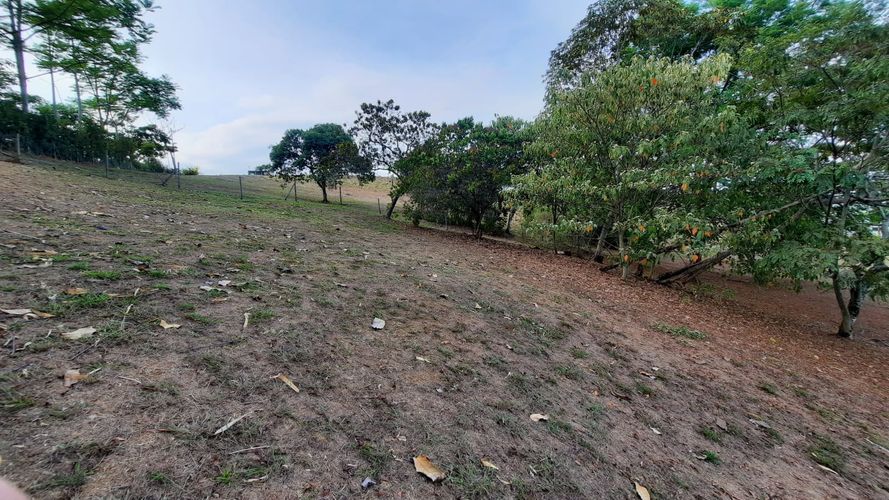 Lote en venta en La Buitrera, Cali, 4200 m² · foto 7 de 8