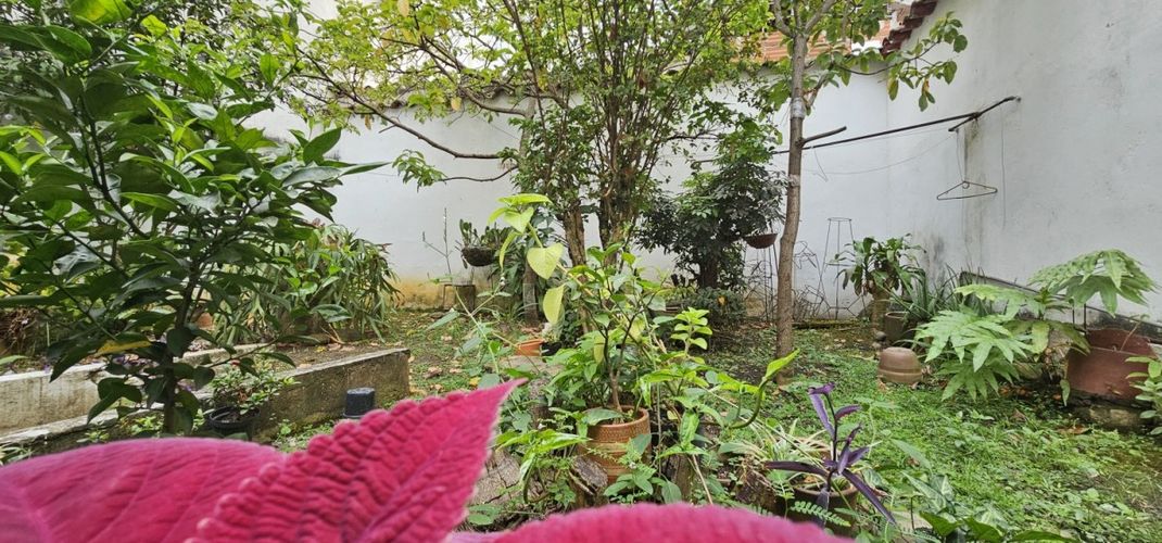 Casa de 4 alcobas en venta en El Prado, Bucaramanga, 217 m² · foto 19 de 20