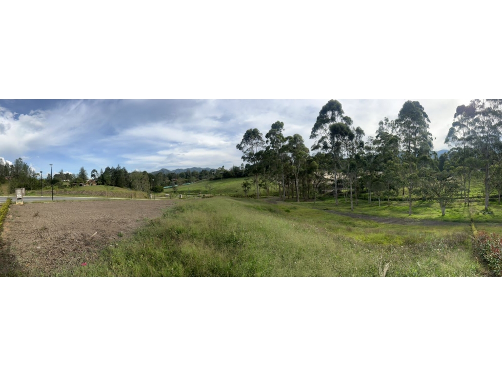 -1BR Land in Los salados (2500 m²) for Sale