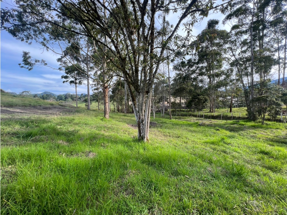 -1BR Land in Los salados (2500 m²) for Sale - 2