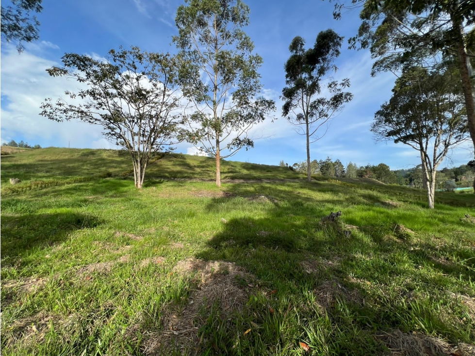 -1BR Land in Los salados (2500 m²) for Sale - 3